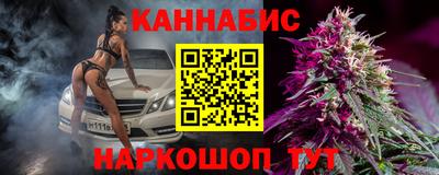 стафф Лесосибирск