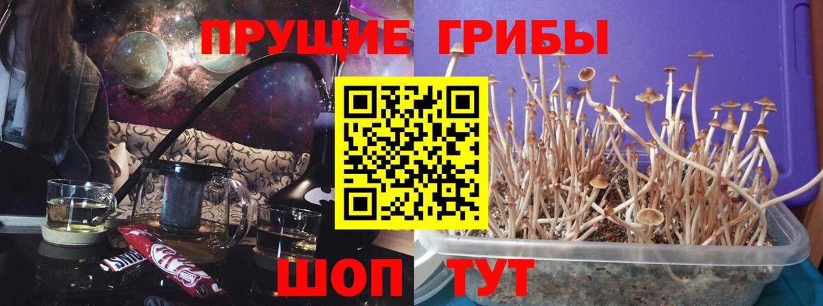 Псилоцибиновые грибы MAGIC MUSHROOMS  магазин    Казань  Вход с VPN 